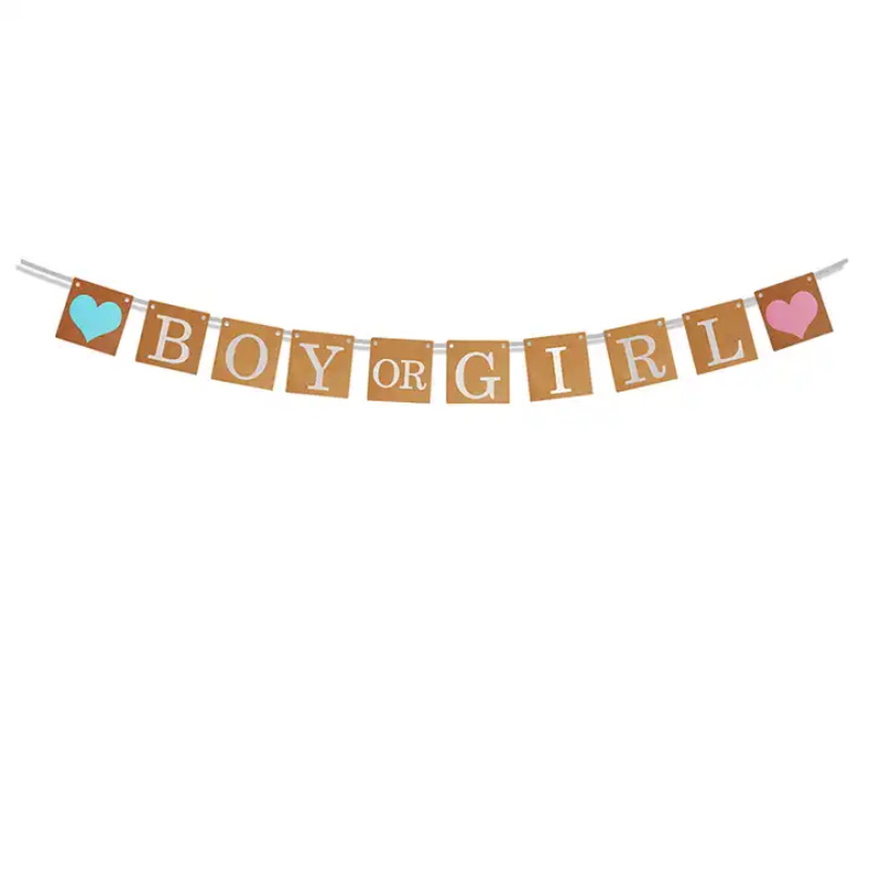 Girl Or Boy Letter Paper Banner