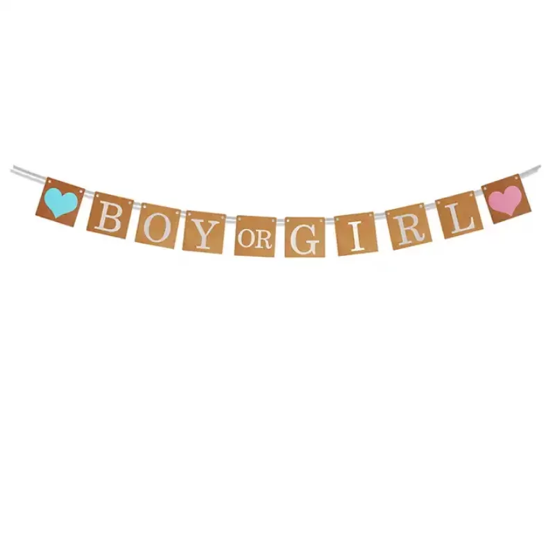 Girl Or Boy Letter Paper Banner