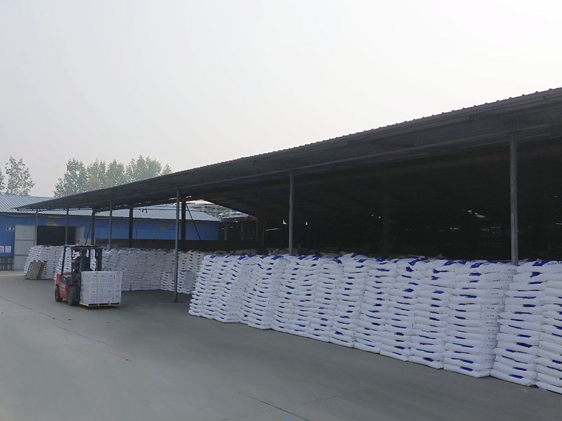 Behind the Scenes A Thursday Morning at Our Xingtai Factory Behind the Scenes A Thursday Morning at Our Xingtai Factory