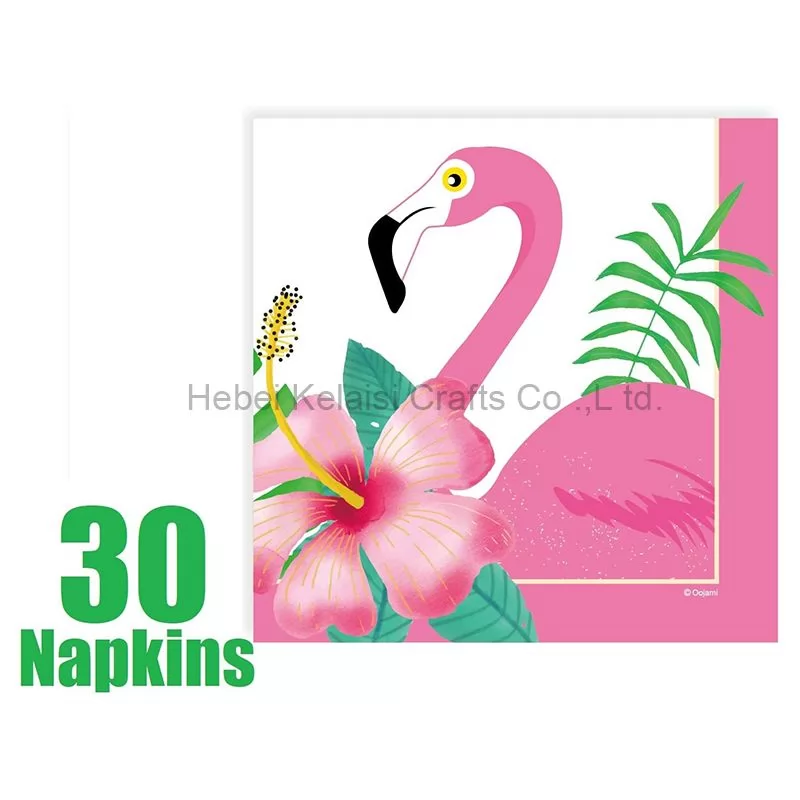 Tropical Flamingo Themed Party Supplies