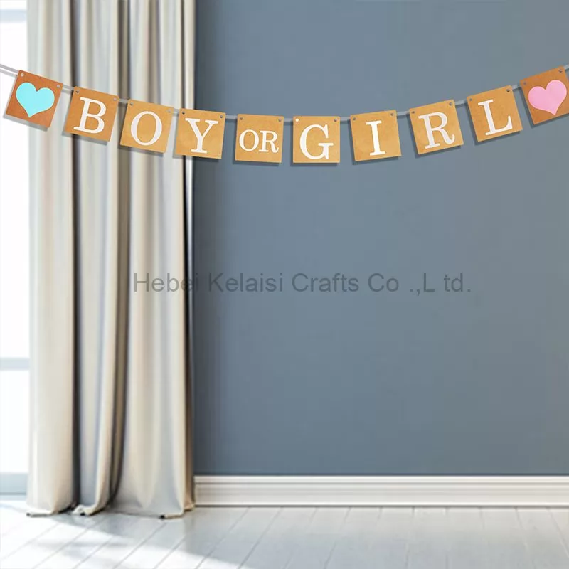 Girl Or Boy Letter Paper Banner