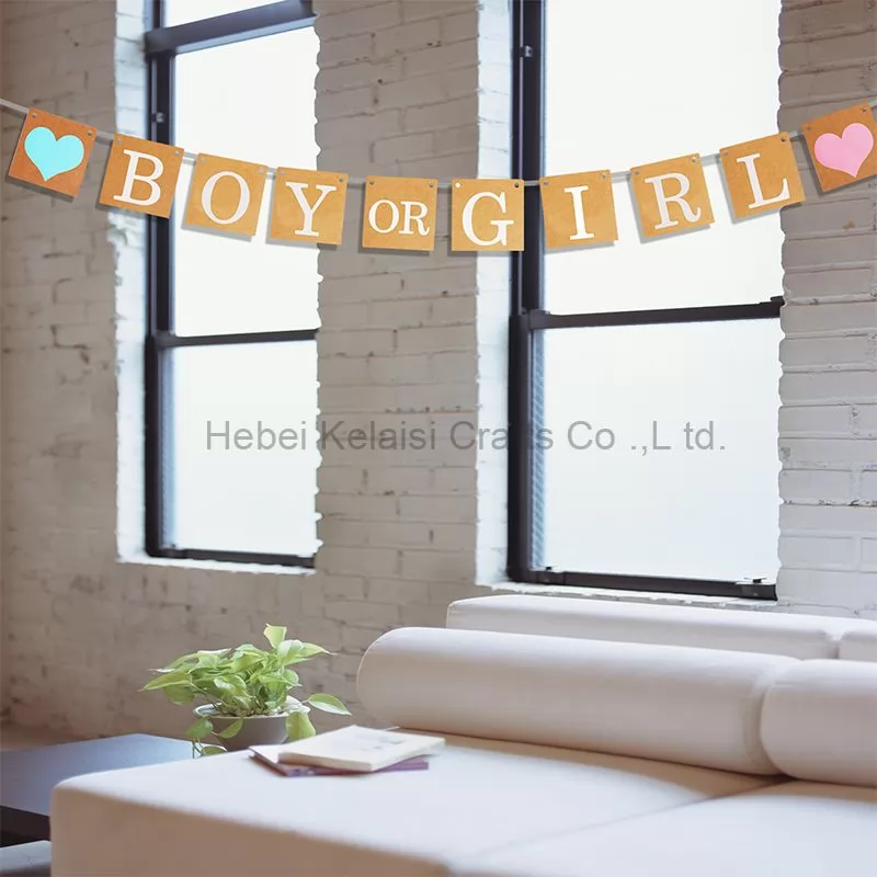 Girl Or Boy Letter Paper Banner