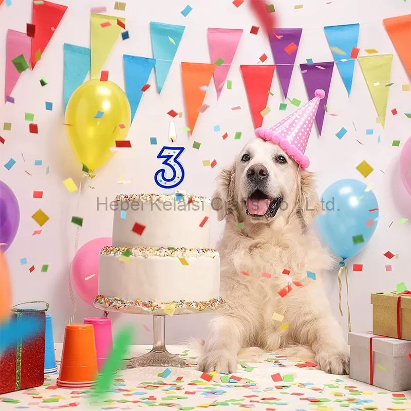 0-9 digital print birthday number candle
