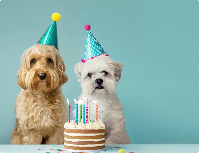 Hebei Kelaisi Crafts Co., Ltd.